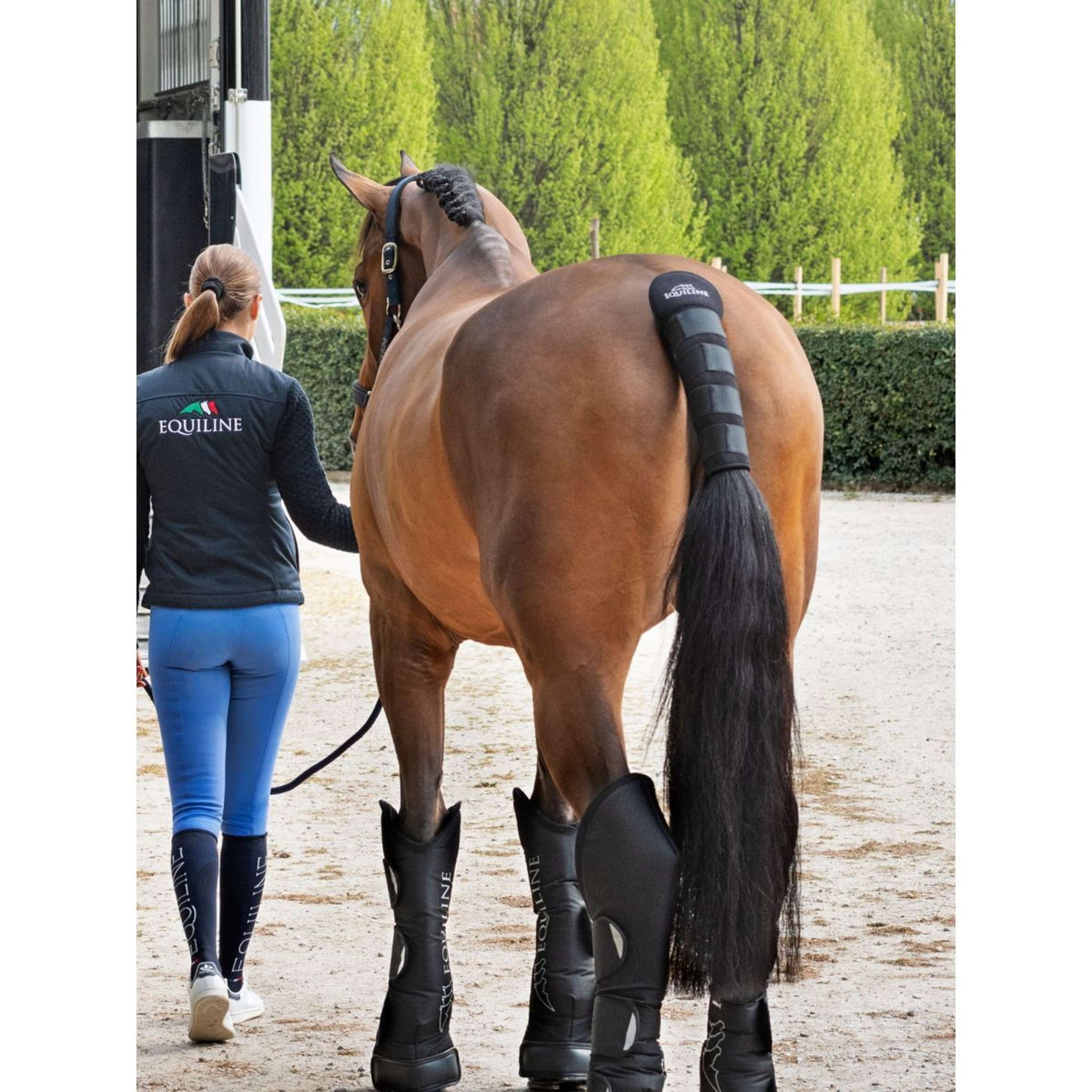 Equiline Protège-Queue Noll Noir Equiline Protège-Queue Noll Noir