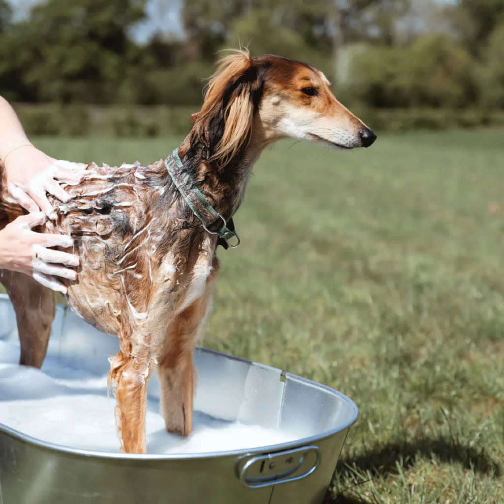 Equine America Shampooing Oat-So-Soothing Naturel