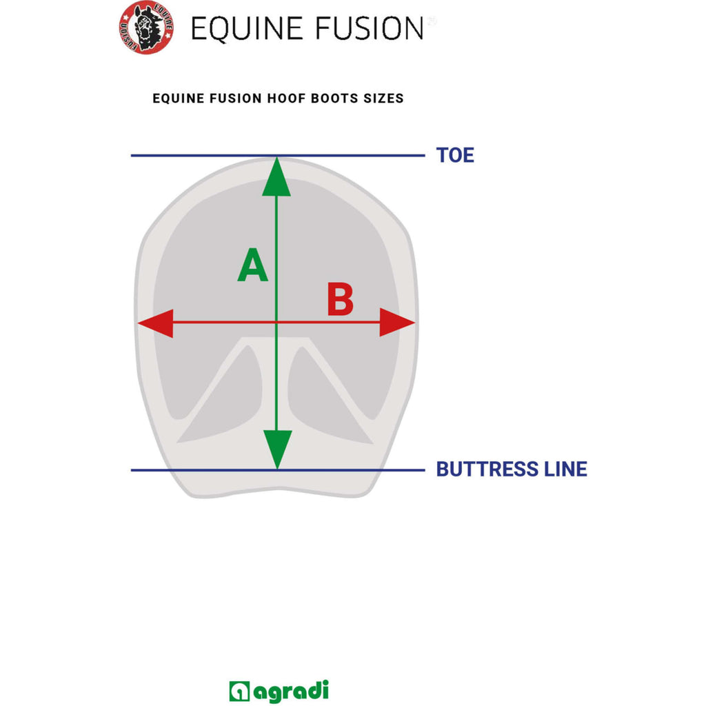 Equine Fusion Semelles 2.0