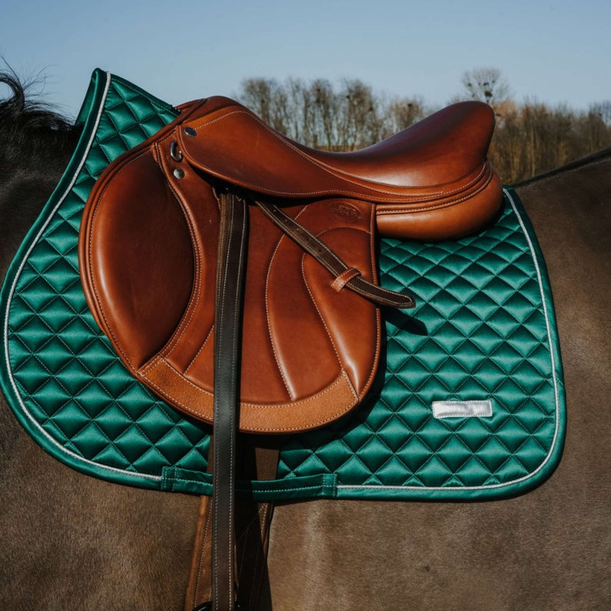 EQUITHÈME Tapis de Selle Nacre de Saut Vert Foncé
