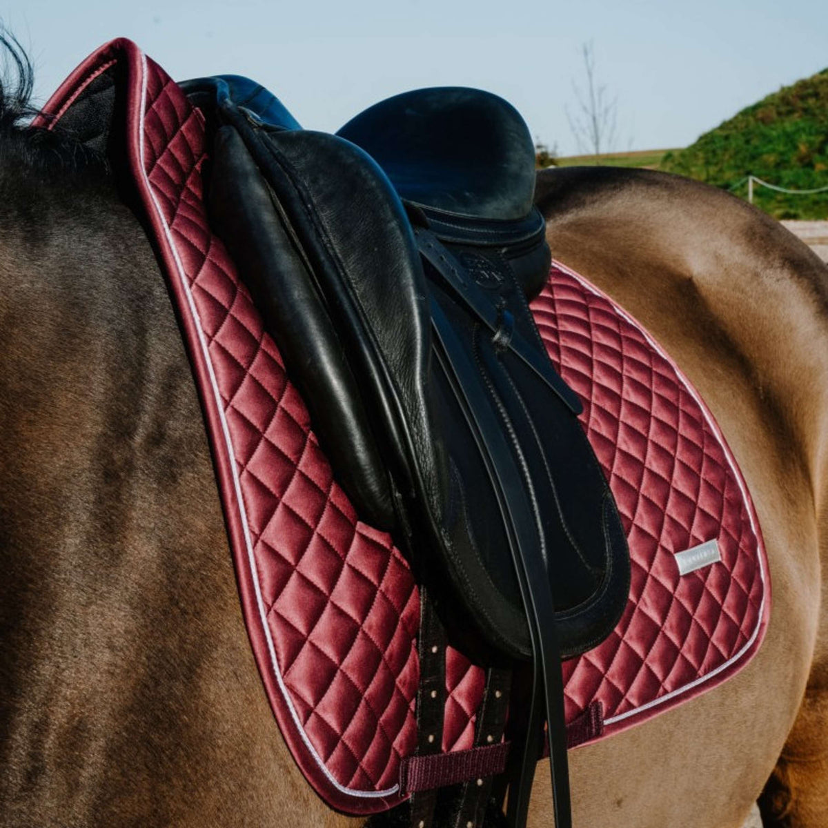 EQUITHÈME Tapis de Selle Nacre Dressage Bordeaux