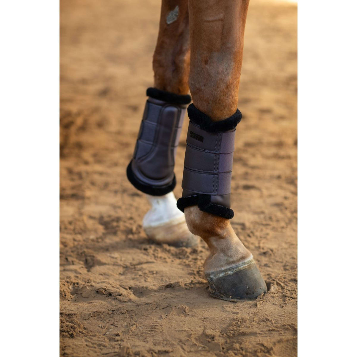 Equestrian Stockholm Guêtres Dark Violet