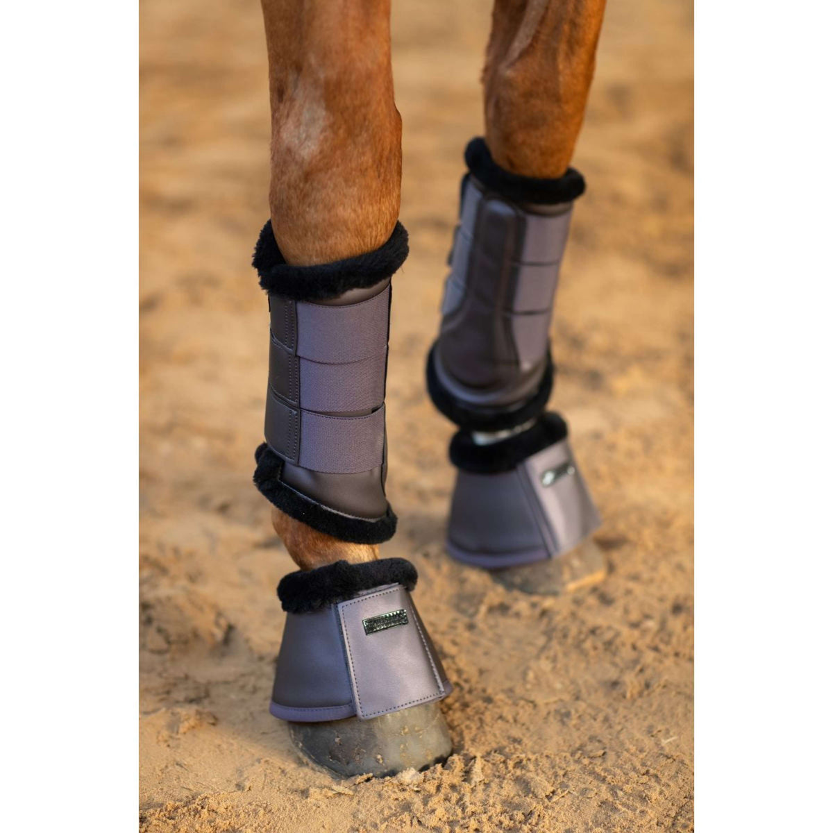 Equestrian Stockholm Guêtres Dark Violet