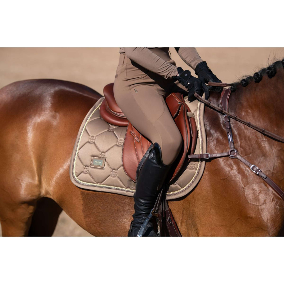 Equestrian Stockholm Tapis de Selle de Saut Champagne