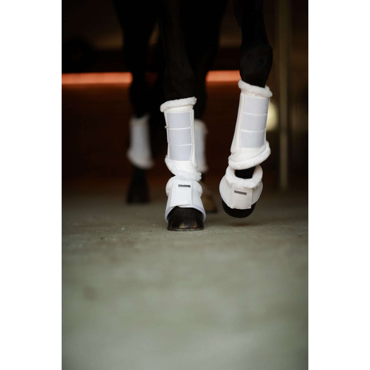 Equestrian Stockholm Guêtres White Silver
