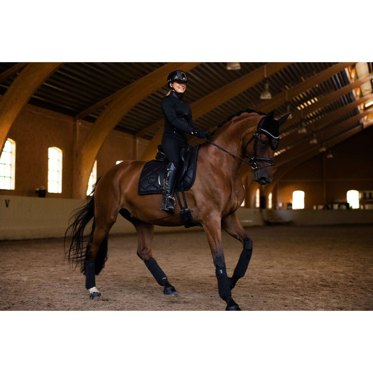 Equestrian Stockholm Tapis de Selle Dressage All Black Glimmer