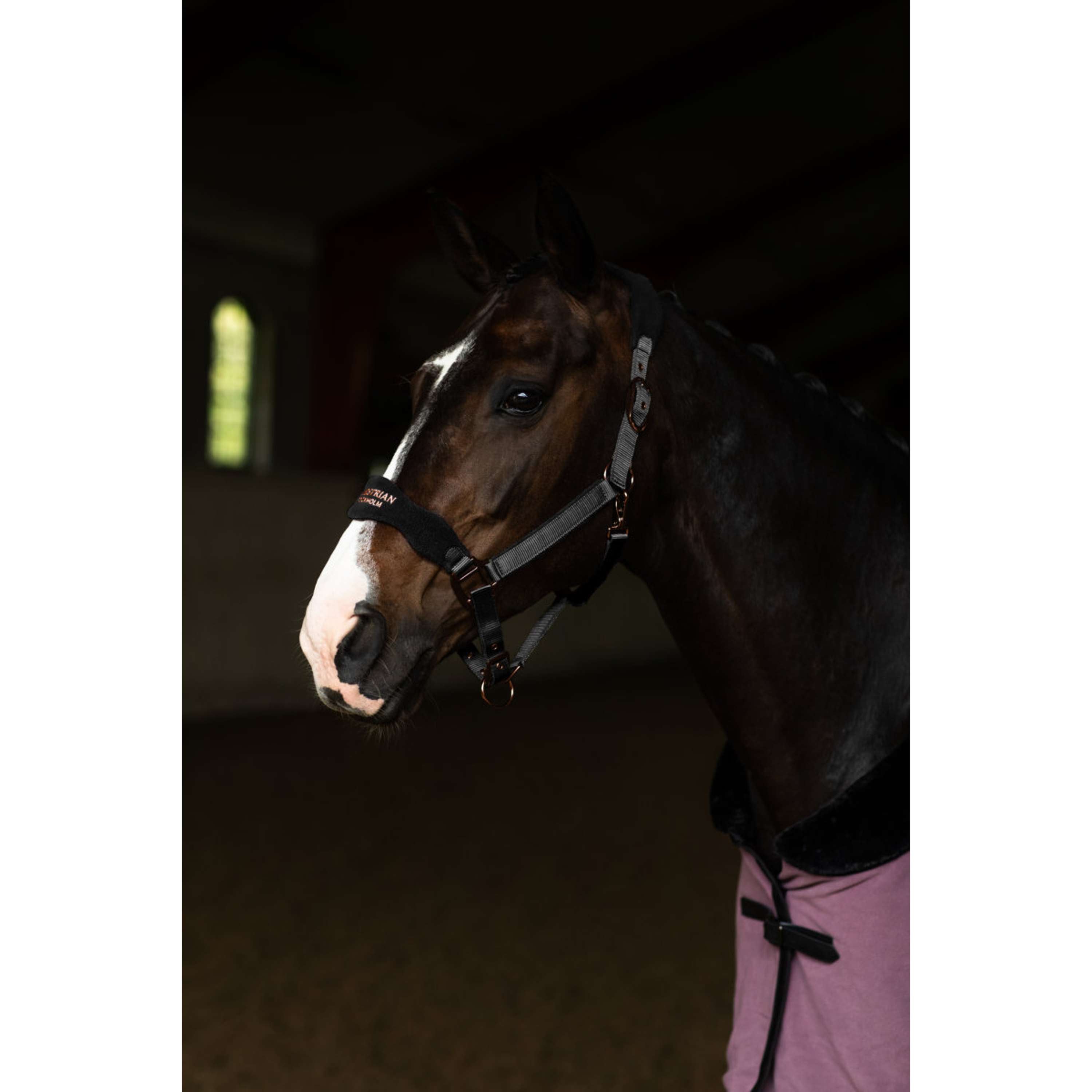Equestrian Stockholm Licol Anatomic Fleece Noir/Blush