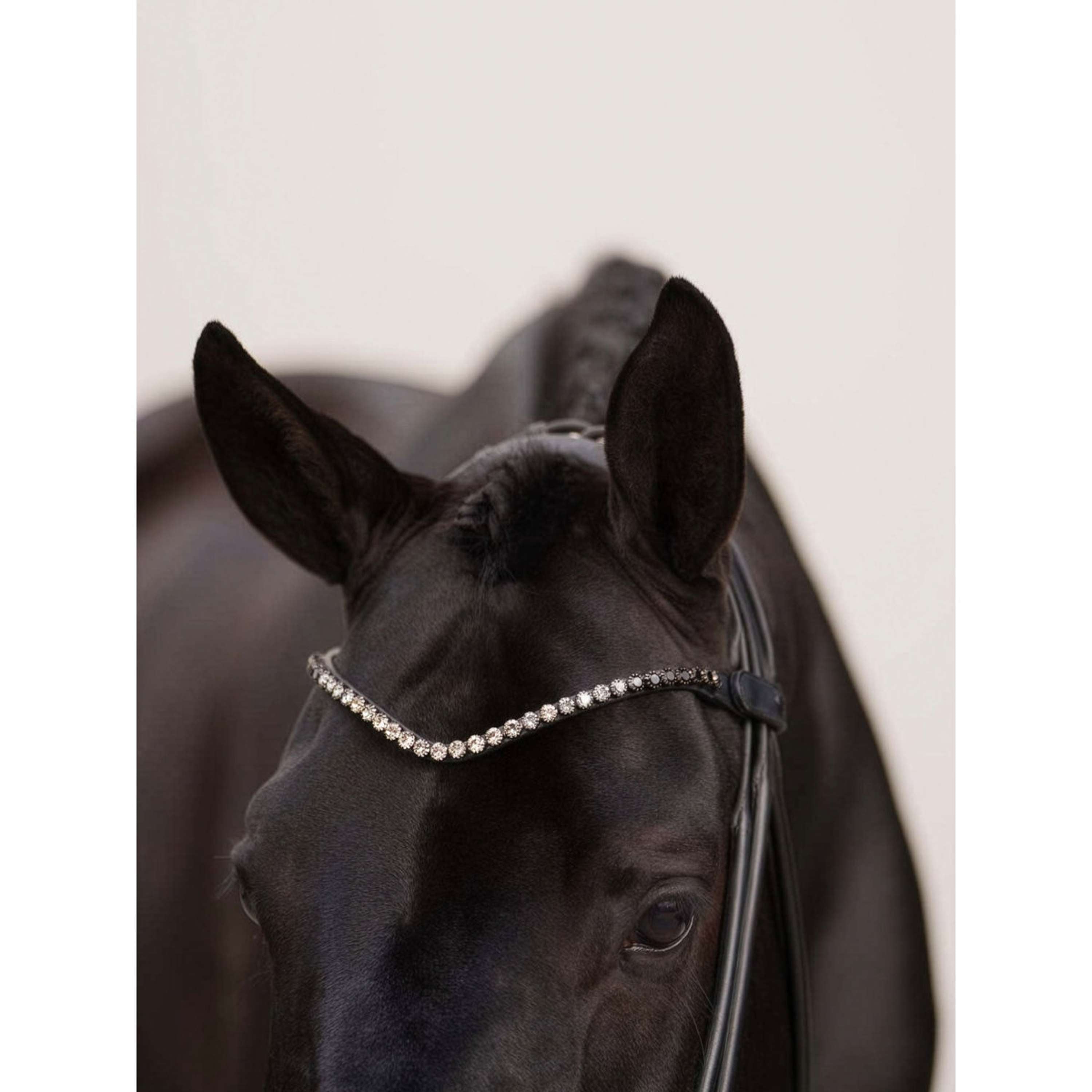 Equestrian Stockholm Frontal Faded 8mm Noir