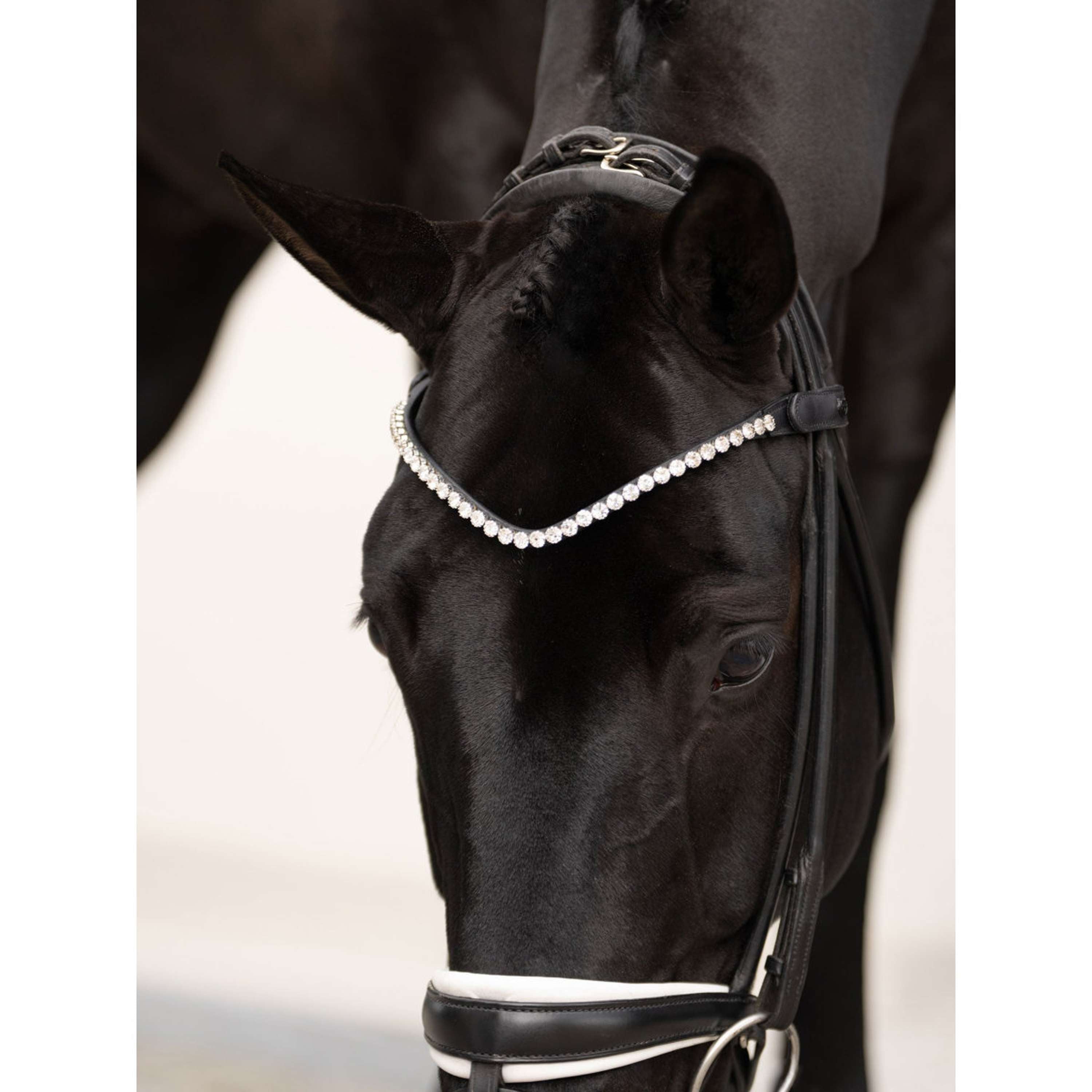 Equestrian Stockholm Frontal Faded 8mm Crystal
