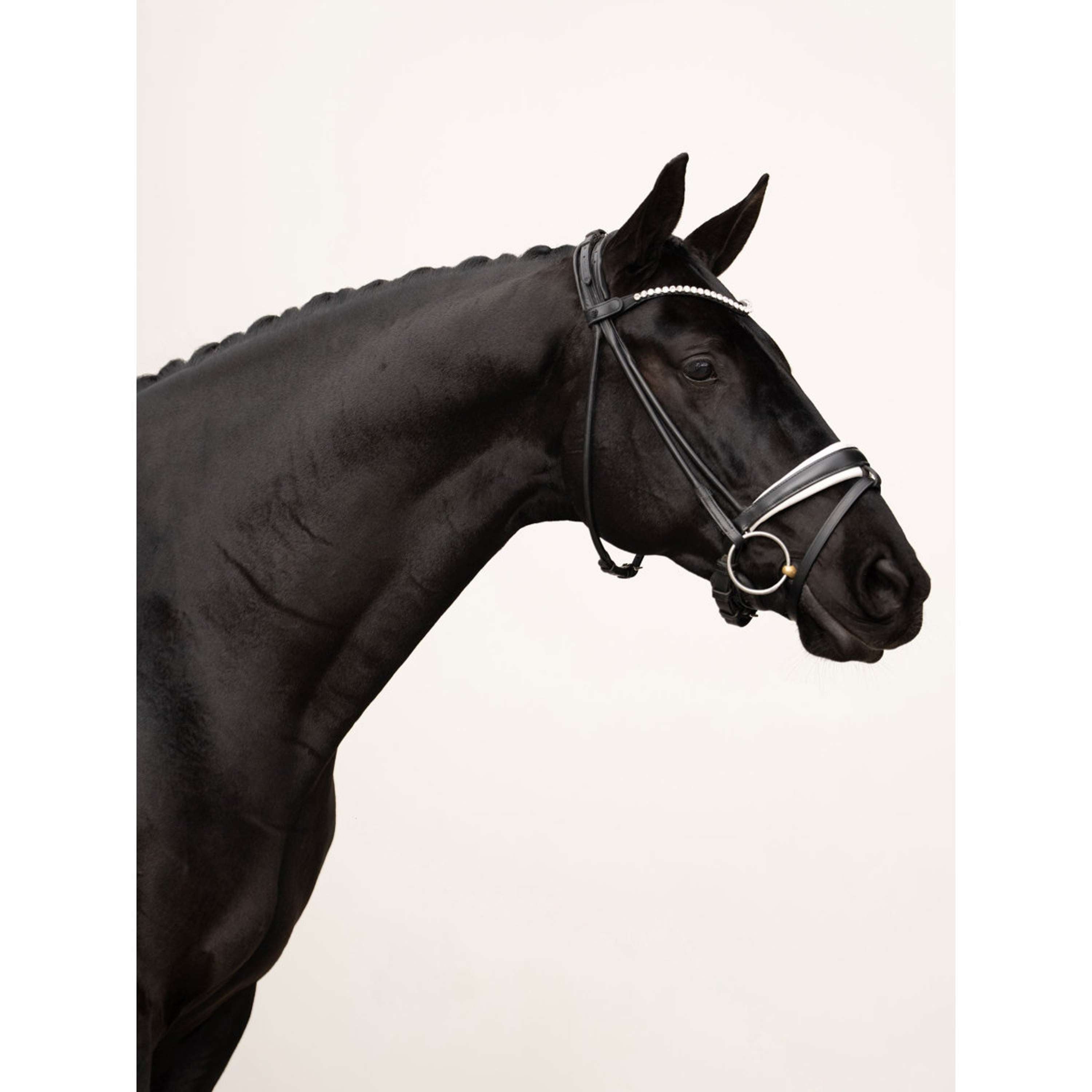 Equestrian Stockholm Frontal Faded 8mm Crystal
