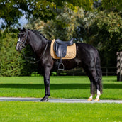 Equestrian Stockholm Tapis de Selle Modern Dressage Midsummer Glow