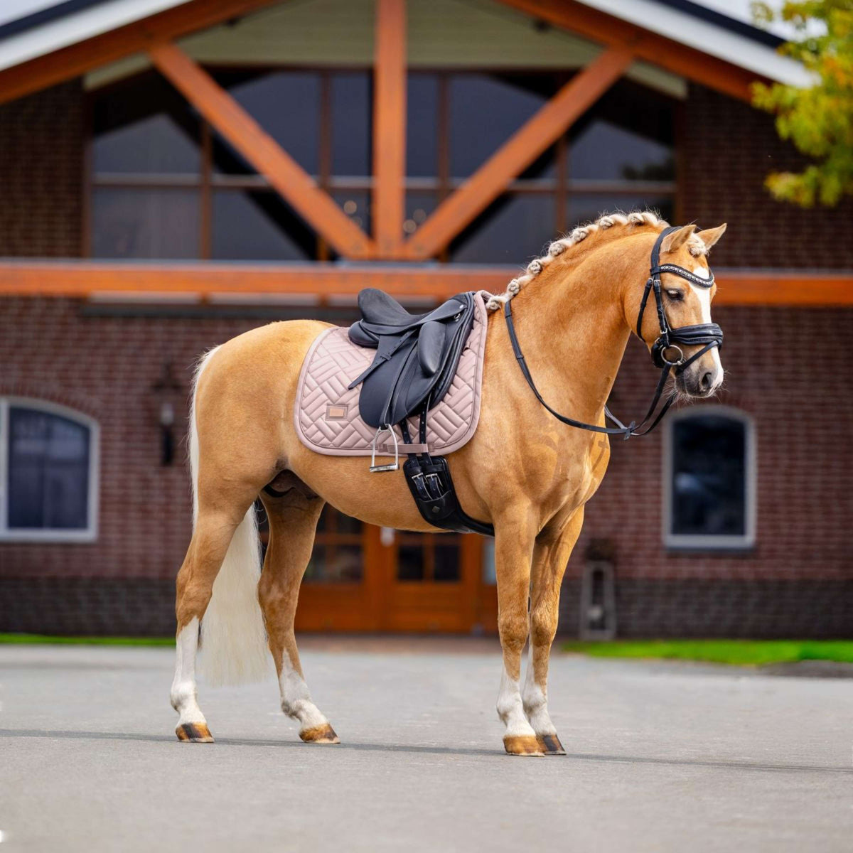 Equestrian Stockholm Tapis de Selle Modern Dressage Midsummer Blush