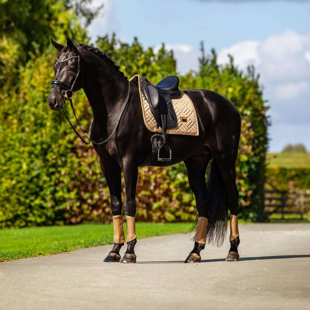 Equestrian Stockholm Tapis de Selle Modern Dressage Midsummer Glow
