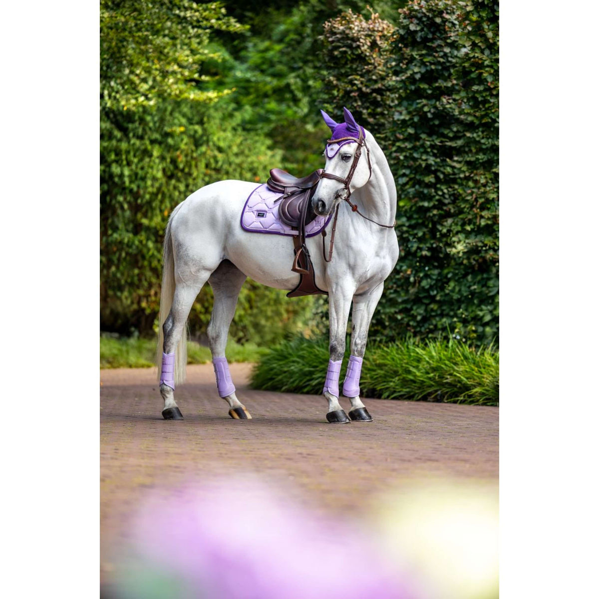 Equestrian Stockholm Tapis de Selle de Saut Lavande