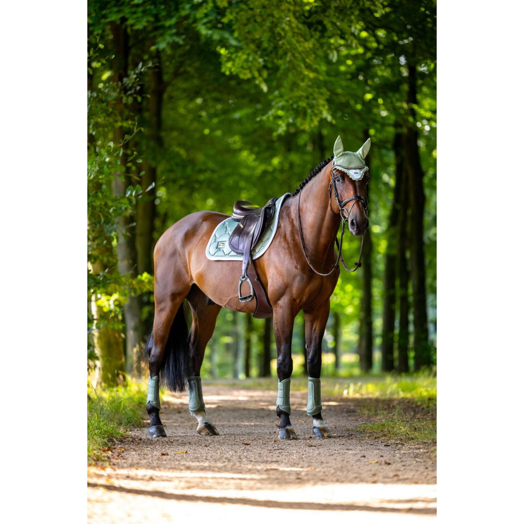 Equestrian Stockholm Bonnet Anti-Mouches Pistachio White
