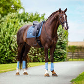 Equestrian Stockholm Tapis de Selle Modern Dressage Midsummer Blue