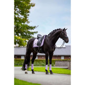 Equestrian Stockholm Tapis de Selle Dressage Lavande