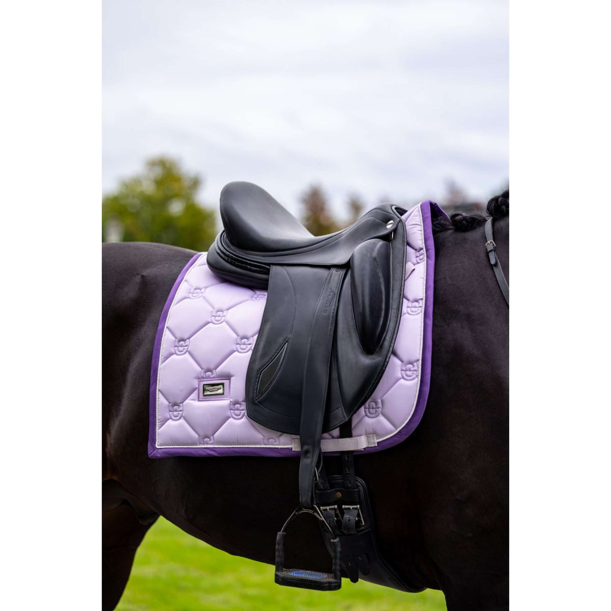 Equestrian Stockholm Tapis de Selle Dressage Lavande