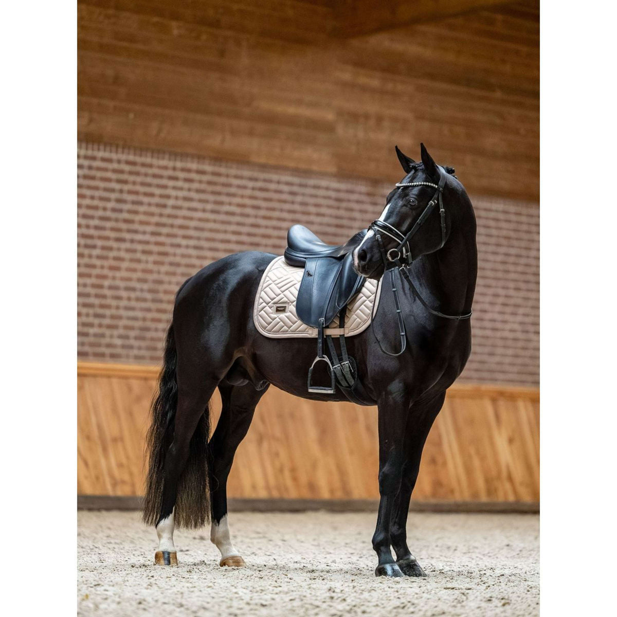 Equestrian Stockholm Tapis de Selle Modern de Saut Sable