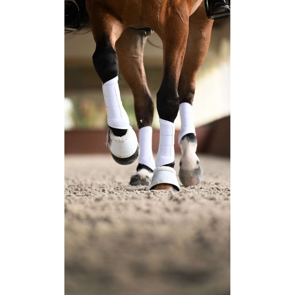 Equestrian Stockholm Guêtres Classic Mesh White Silver