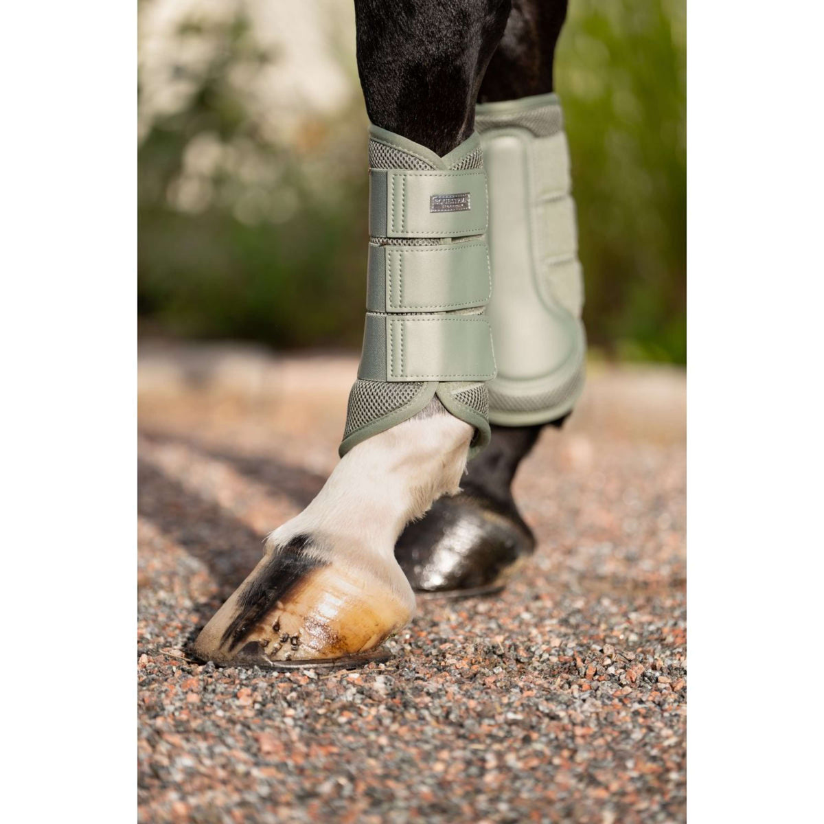 Equestrian Stockholm Guêtres Classic Mesh Pistachio White