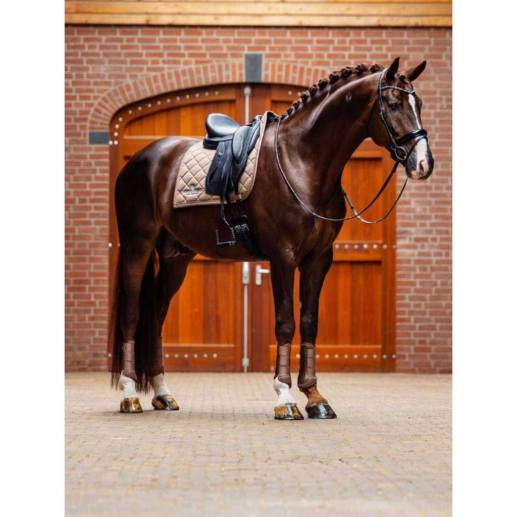 Equestrian Stockholm Guêtres Classic Mesh Champagne