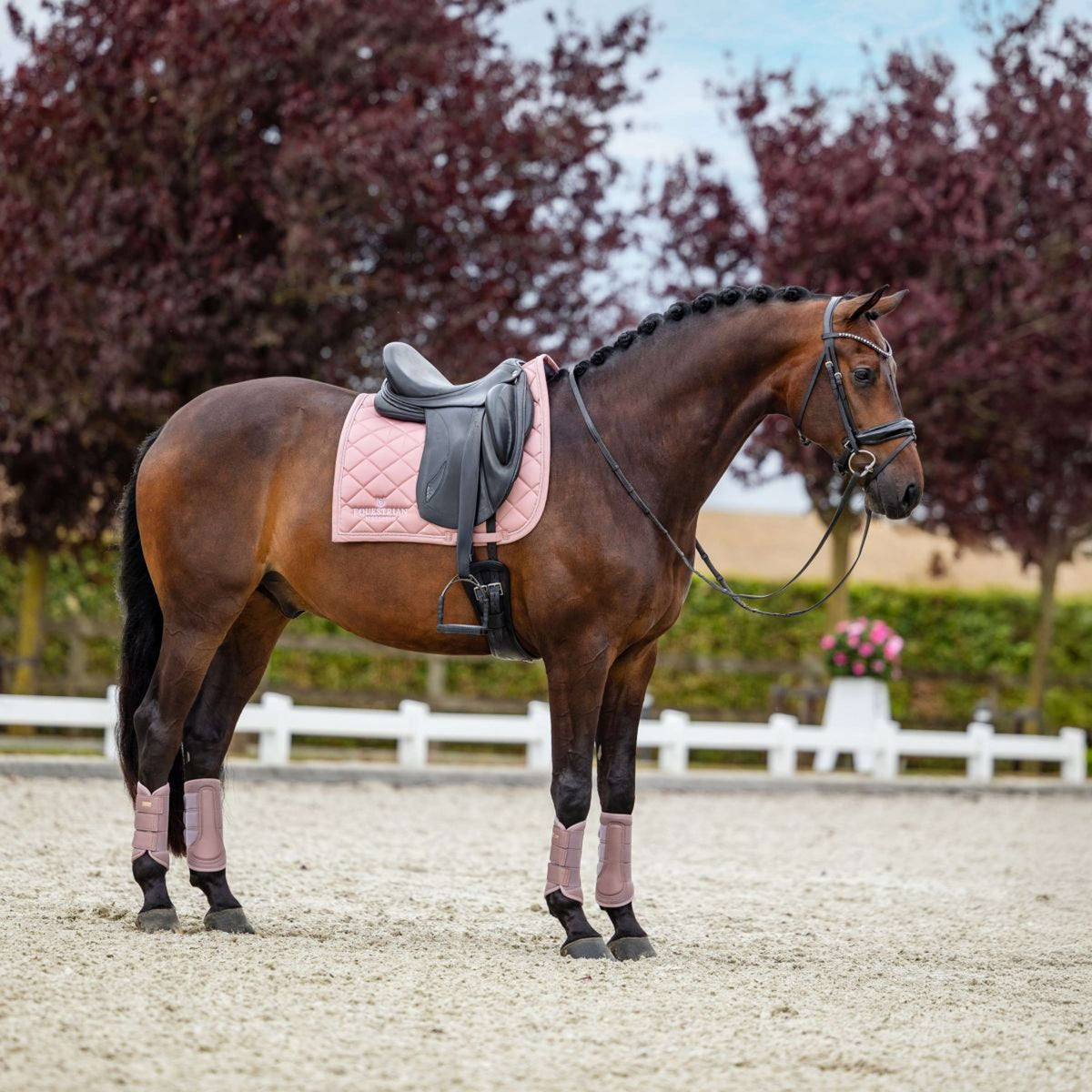 Equestrian Stockholm Tapis de Selle Line Dressage Rose