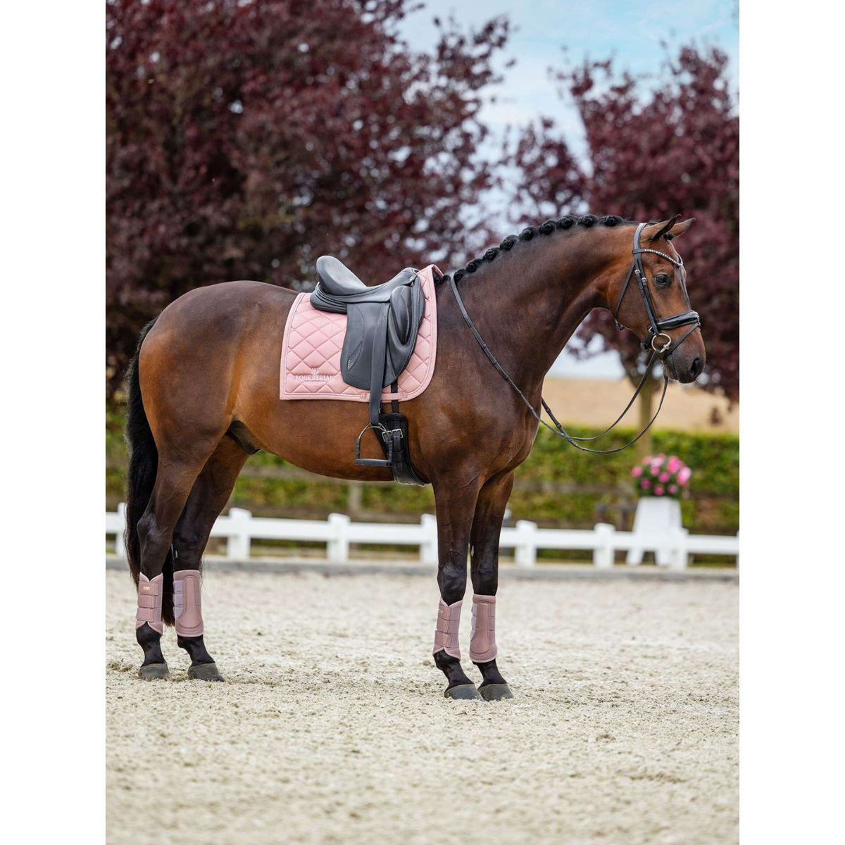 Equestrian Stockholm Guêtres Classic Mesh Rose