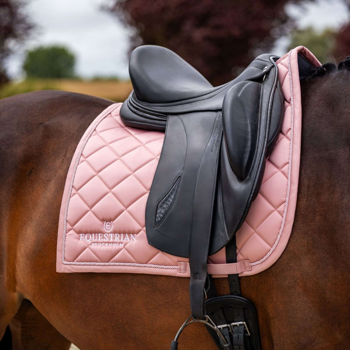 Equestrian Stockholm Tapis de Selle Line Dressage Rose