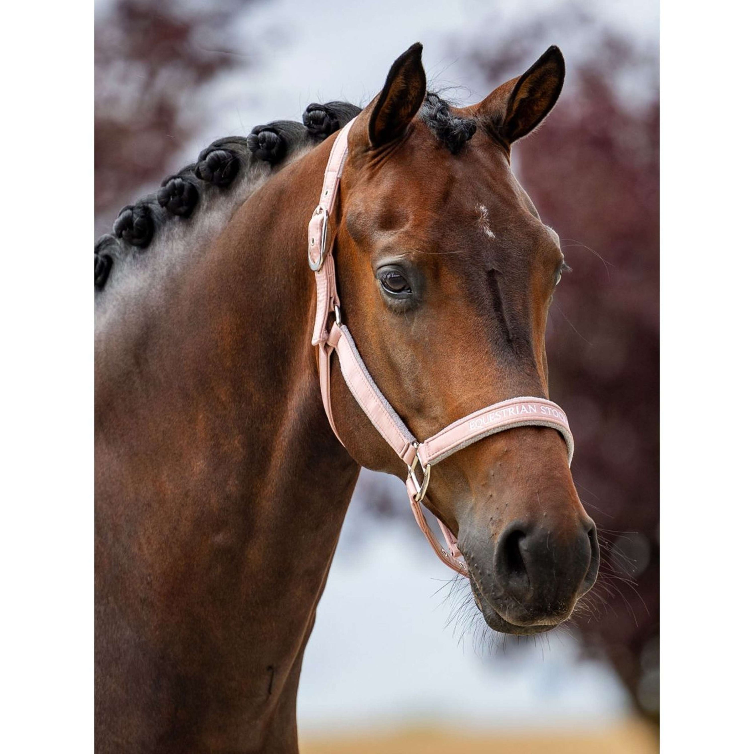 Equestrian Stockholm Licol Line Rose Equestrian Stockholm Licol Line Rose