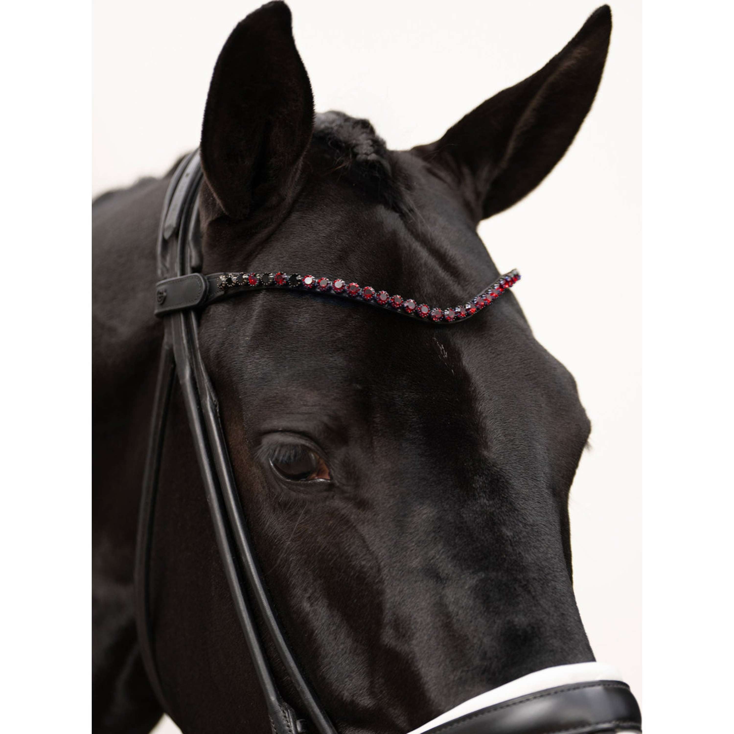 Equestrian Stockholm Frontal Faded 8mm Merlot