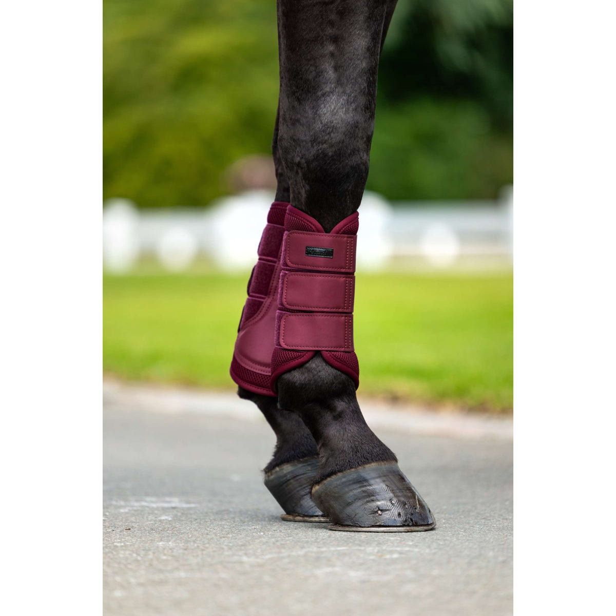 Equestrian Stockholm Guêtres Mesh Merlot