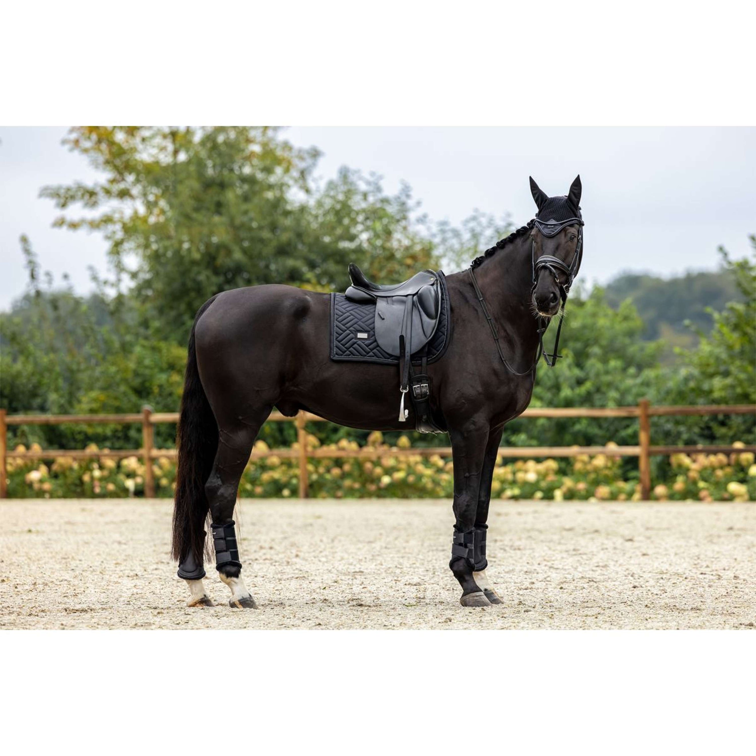 Equestrian Stockholm Bonnet Anti-Mouches Black Edition Equestrian Stockholm Bonnet Anti-Mouches Black Edition