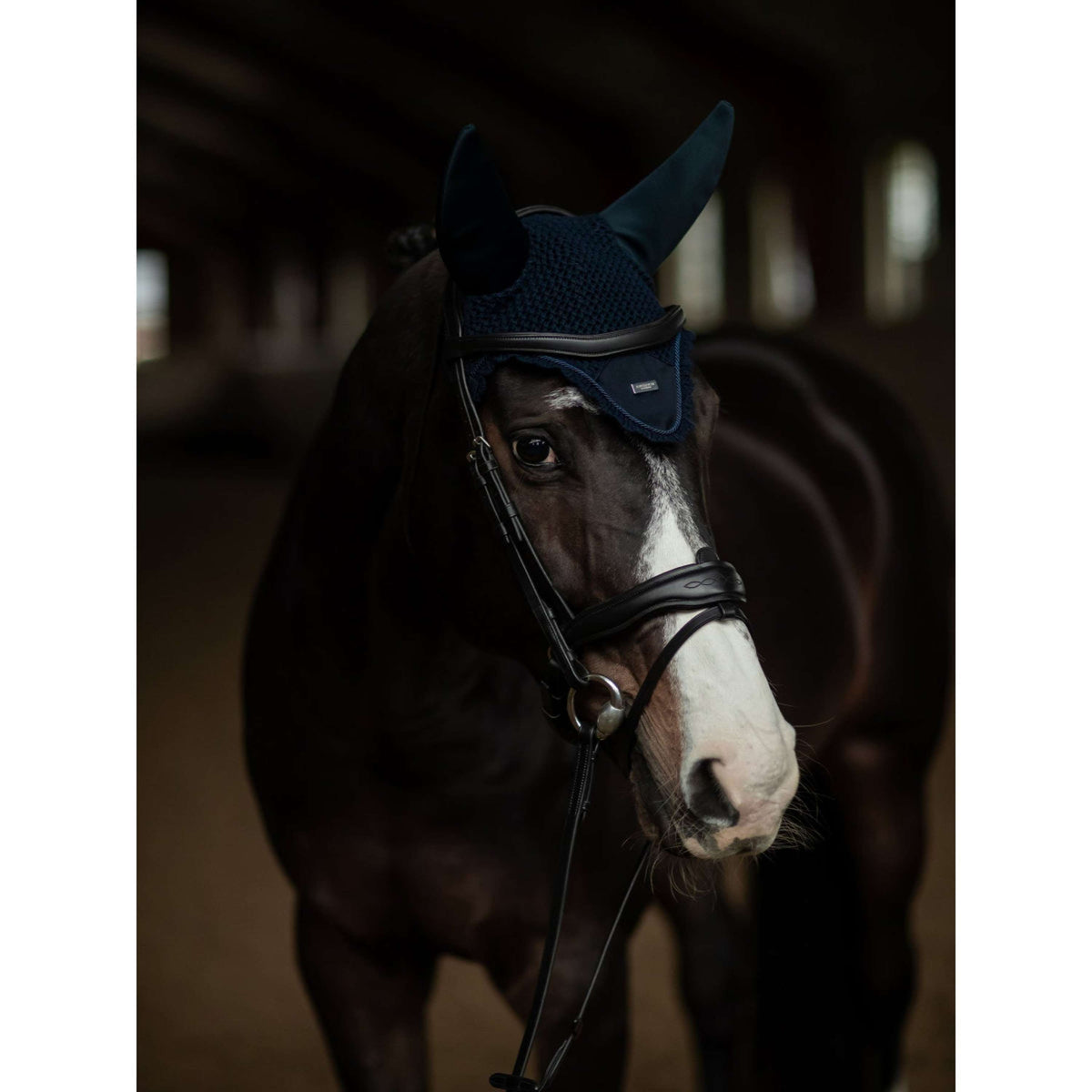 Equestrian Stockholm Bonnet Anti-Mouches Soundless Marine/Argent