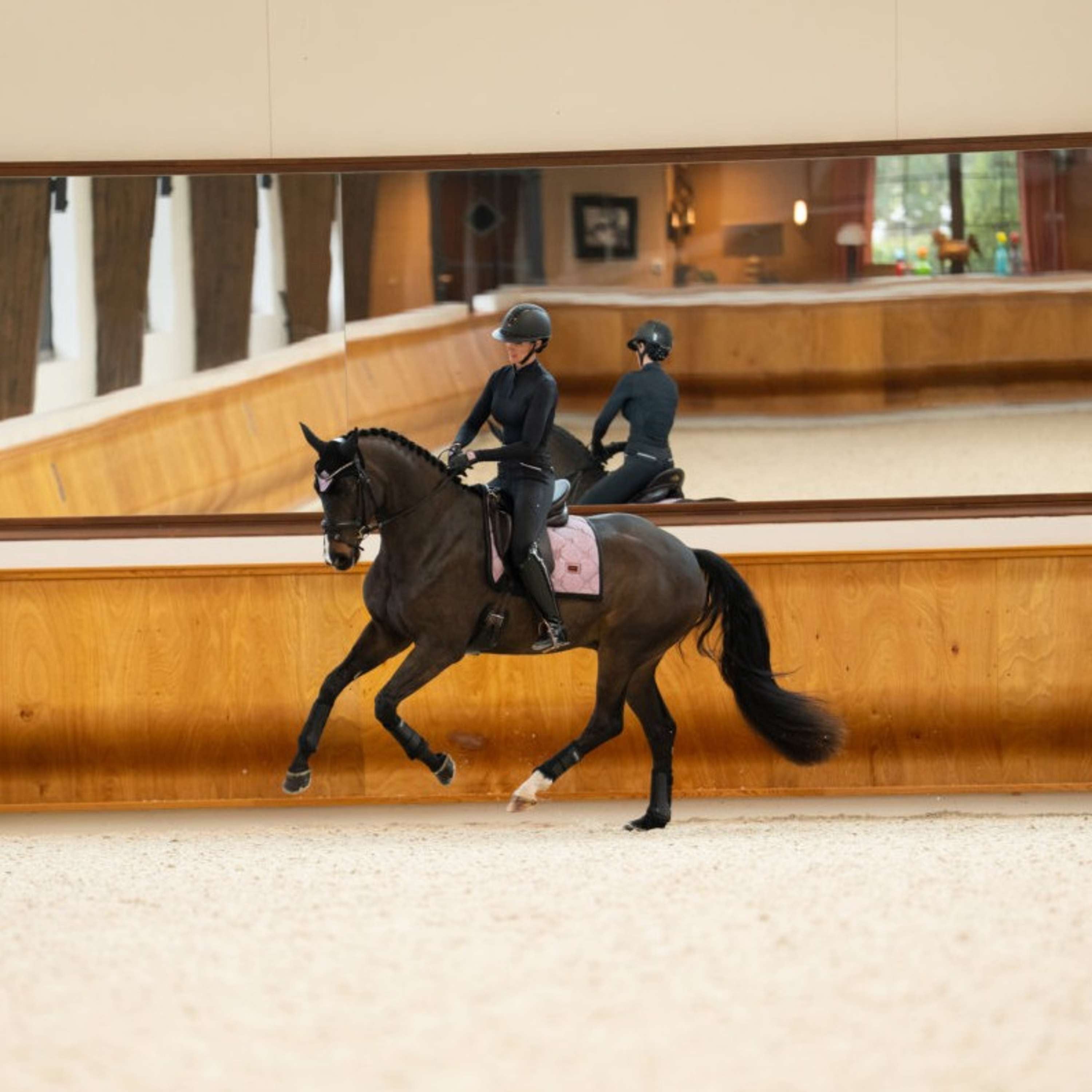 Equestrian Stockholm Tapis de Selle Dressage Pink Glimmer