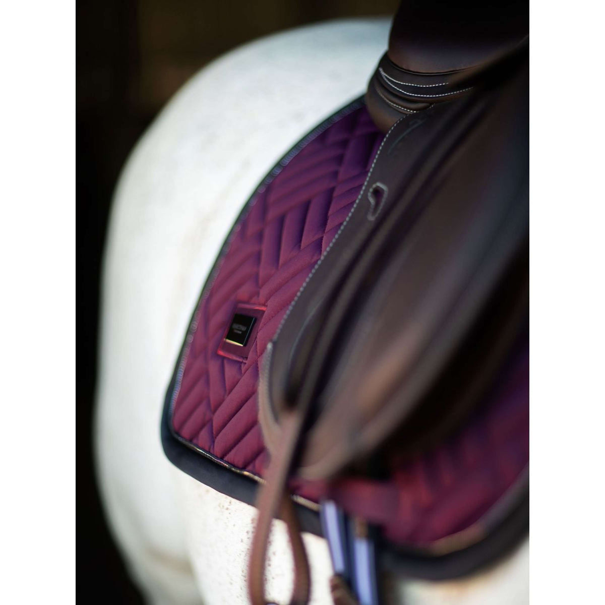 Equestrian Stockholm Tapis de Selle Modern de Saut Purple Night