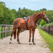 Equestrian Stockholm Tapis de Selle Satin de Saut Chestnut
