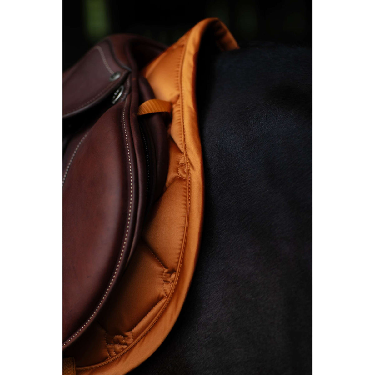 Equestrian Stockholm Tapis de Selle Satin de Saut Chestnut