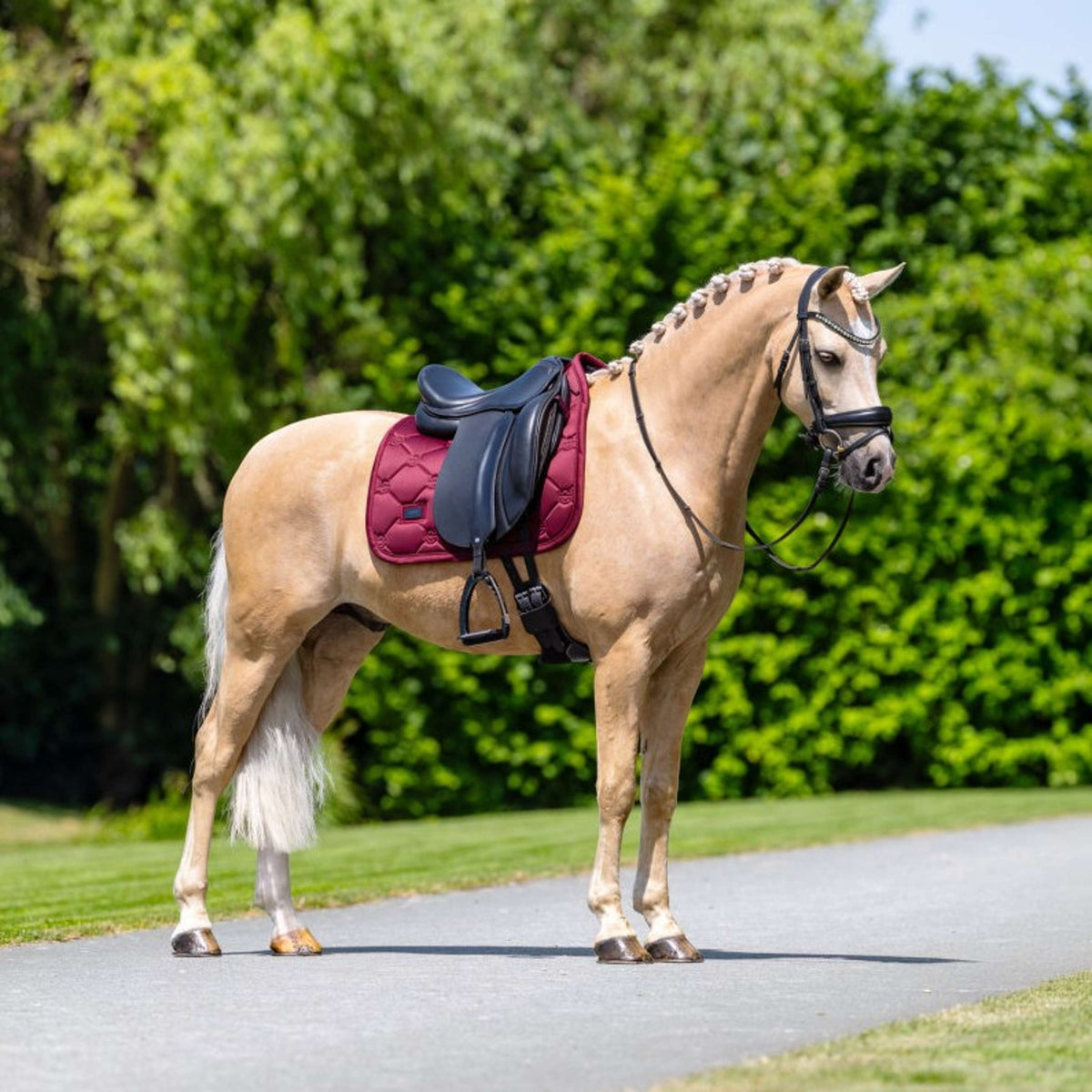 Equestrian Stockholm Tapis de Selle Satin Dressage Merlot
