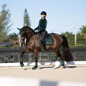 Equestrian Stockholm Cloches d'Obstacles Sycamore Green
