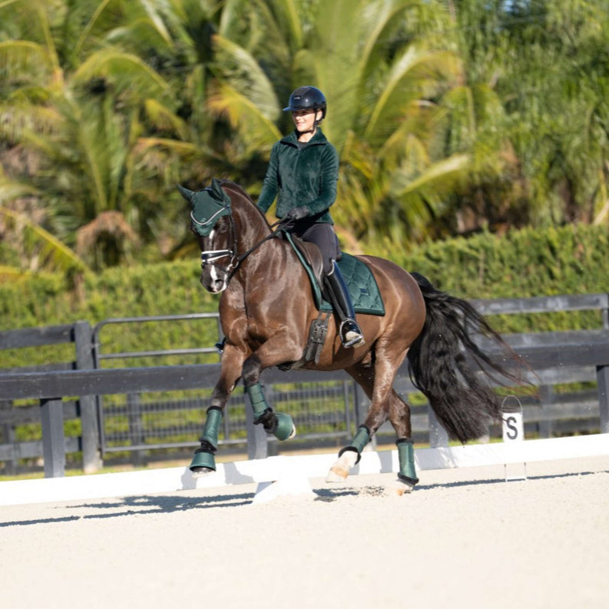 Equestrian Stockholm Cloches d'Obstacles Sycamore Green