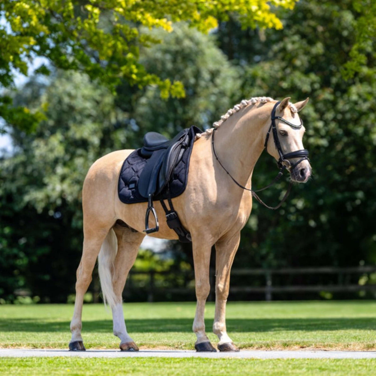 Equestrian Stockholm Tapis de Selle Velvet Dressage Noir