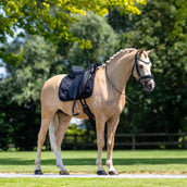 Equestrian Stockholm Tapis de Selle Velvet Dressage Noir