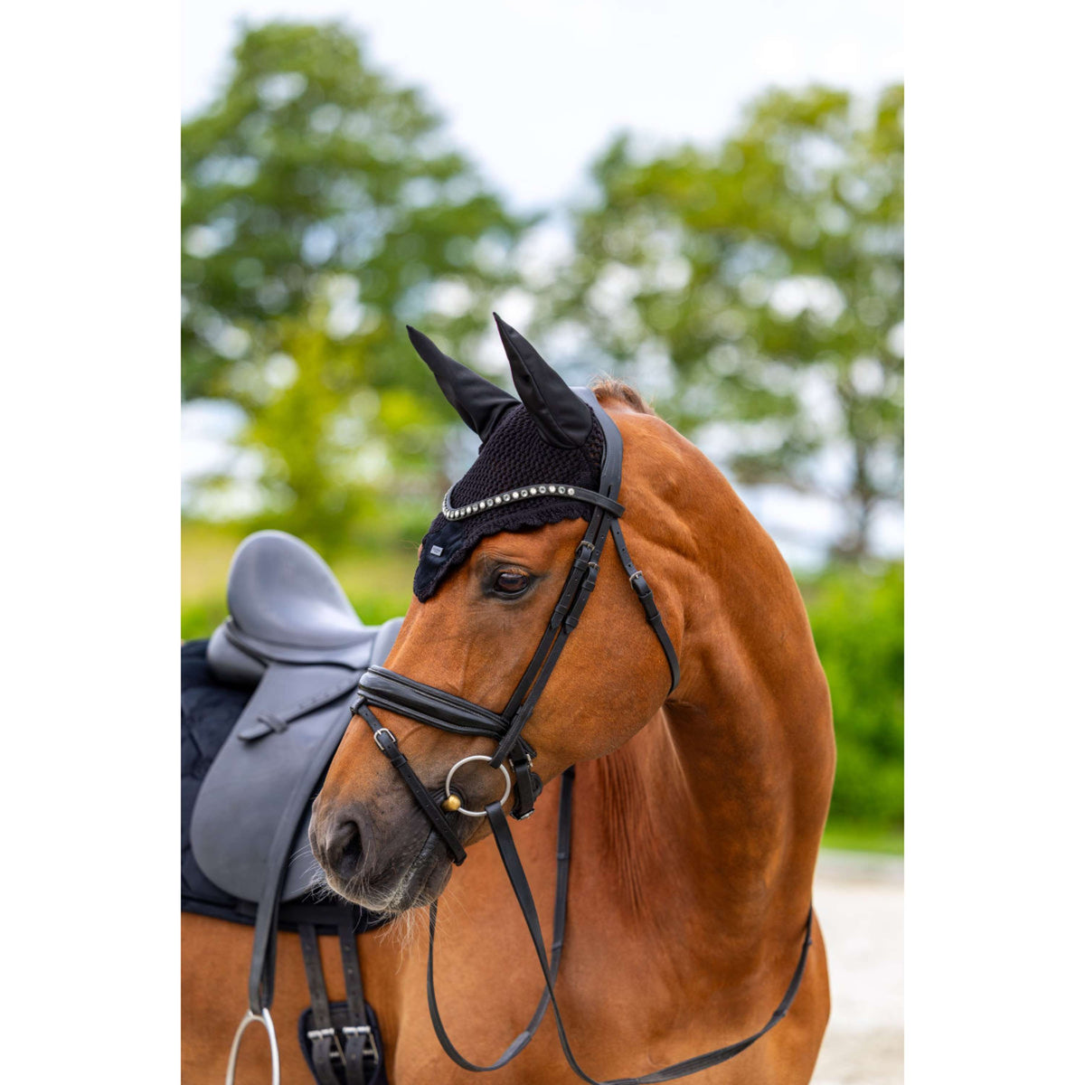 Equestrian Stockholm Bonnet Anti-Mouches Velvet Noir