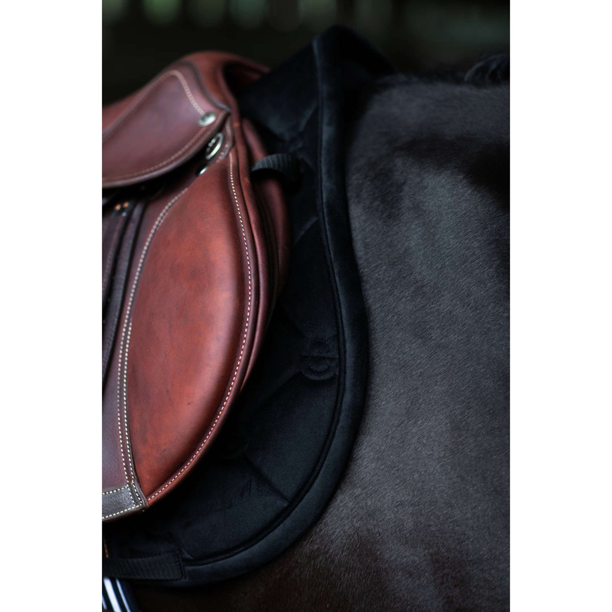 Equestrian Stockholm Tapis de Selle Velvet de Saut Noir