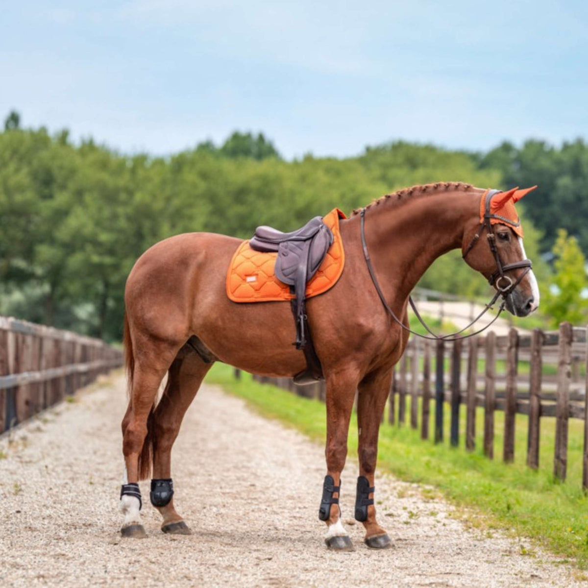 Equestrian Stockholm Bonnet Anti-Mouches Velvet Chestnut