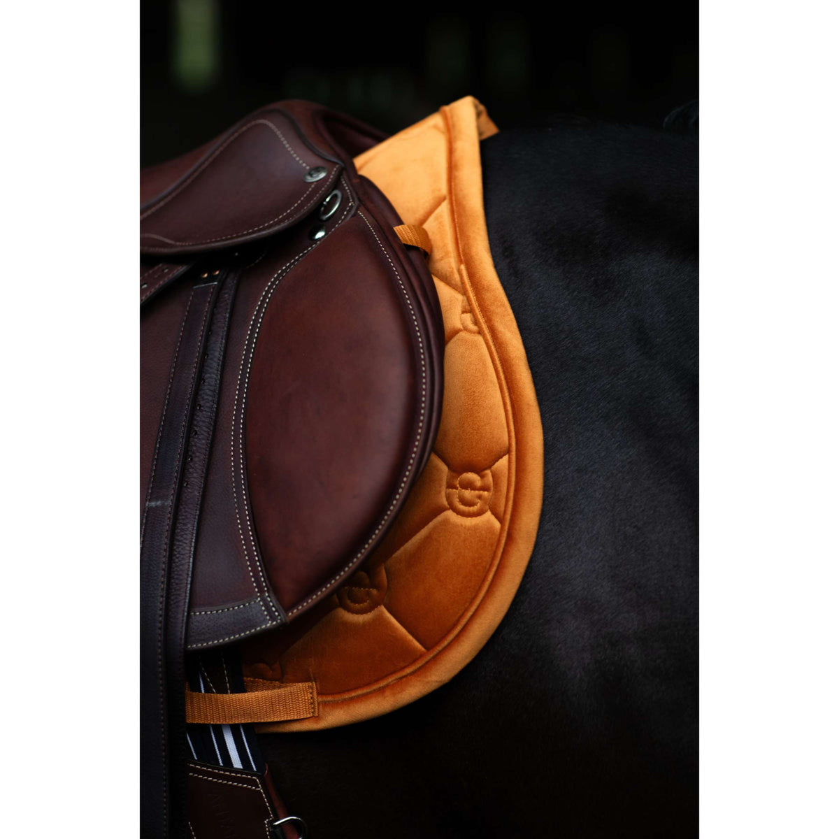 Equestrian Stockholm Tapis de Selle Velvet de Saut Chestnut
