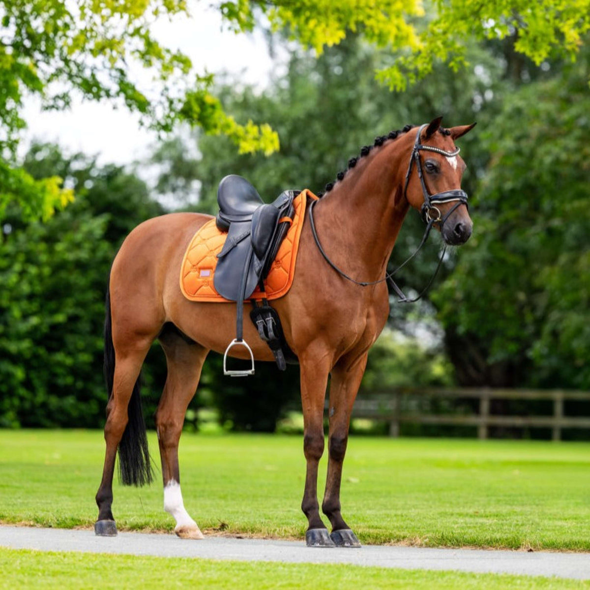 Equestrian Stockholm Tapis de Selle Velvet Dressage Chestnut
