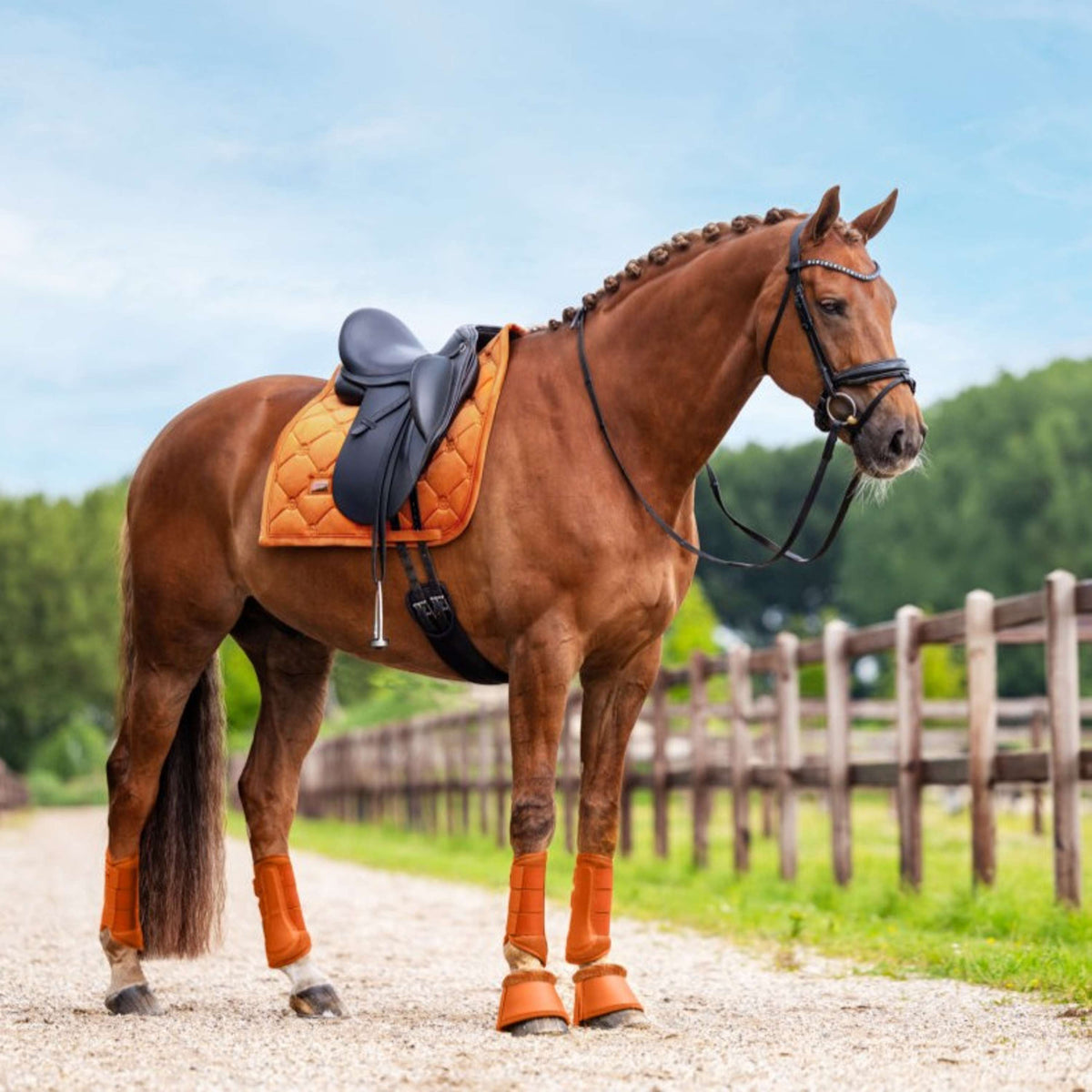 Equestrian Stockholm Cloches d'Obstacles Chestnut