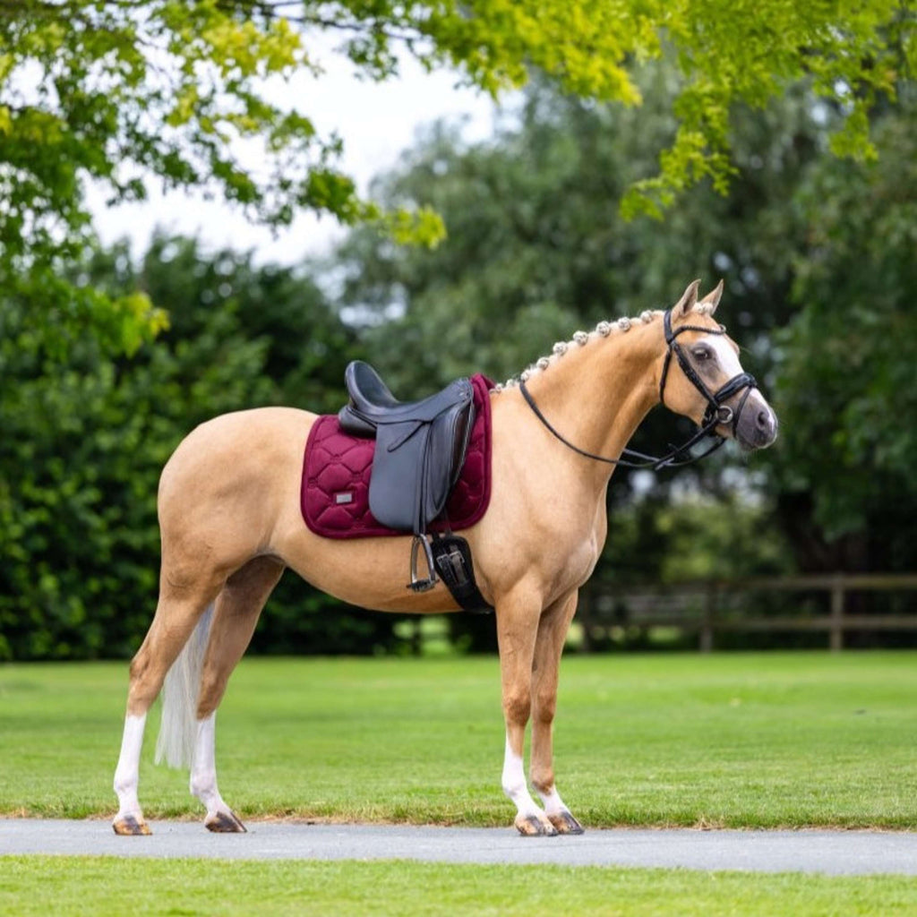 Equestrian Stockholm Tapis de Selle Velvet Dressage Merlot